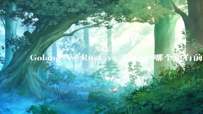 Golang vs Rust vs Dlang 哪个更有前途，哪位大牛这 3 门语言都用过？