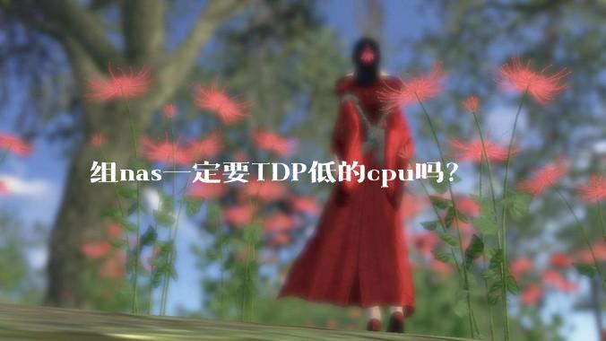 组nas一定要TDP低的cpu吗？